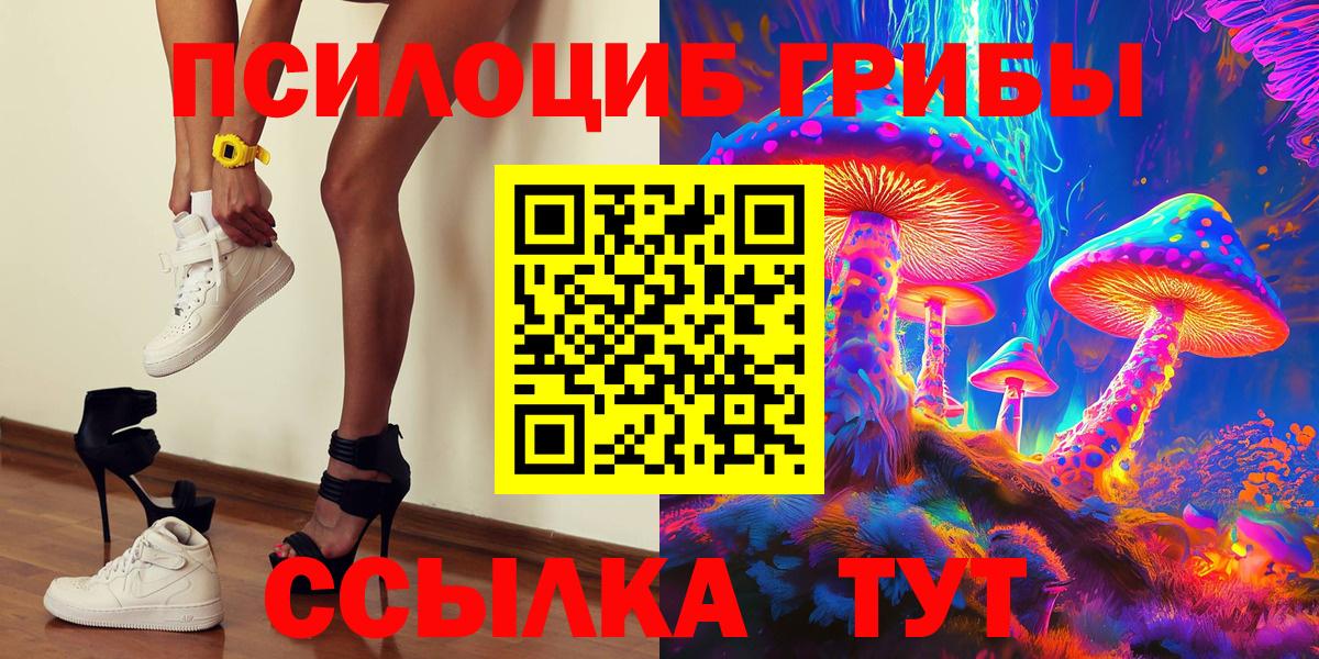 Полысаево  Галлюциногенные грибы Psilocybe  Вход с VPN 